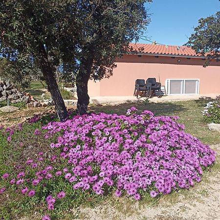 App Bonic Veli Lošinj Exterior foto